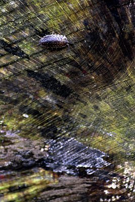 BUITEN BEELD Foto: 66420