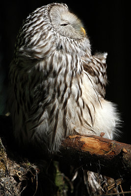 BUITEN BEELD Foto: 66464