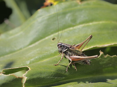 BUITEN BEELD Foto: 66498