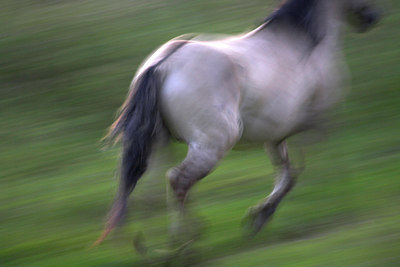 BUITEN BEELD Foto: 66552
