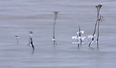 BUITEN BEELD Foto: 66558