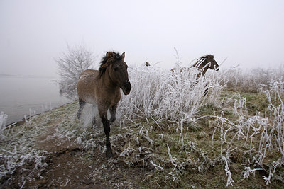 BUITEN BEELD Foto: 66563