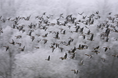 BUITEN BEELD Foto: 66582