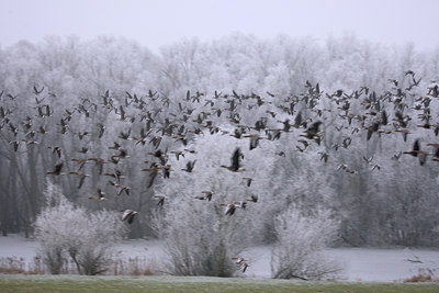BUITEN BEELD Foto: 66584