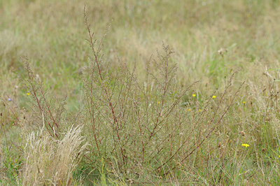 BUITEN BEELD Foto: 66616