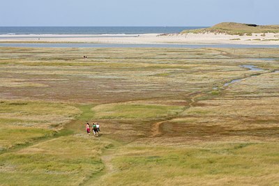 BUITEN BEELD Foto: 66679