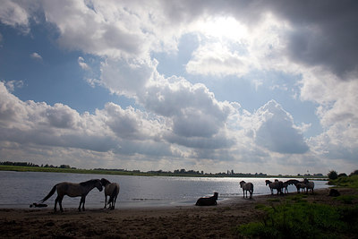 BUITEN BEELD Foto: 66701