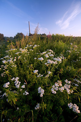 BUITEN BEELD Foto: 66712