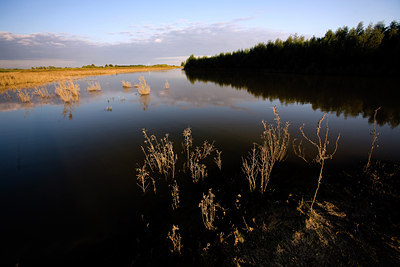 BUITEN BEELD Foto: 66732