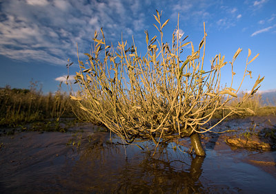 BUITEN BEELD Foto: 66735