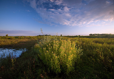 BUITEN BEELD Foto: 66737