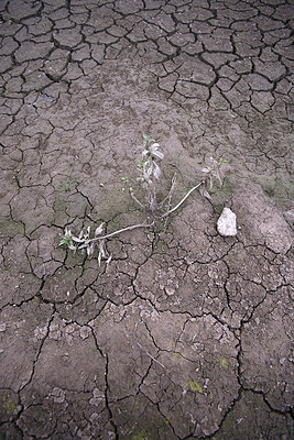 BUITEN BEELD Foto: 66744