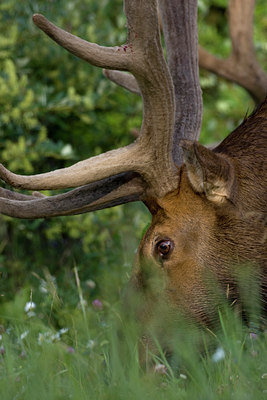 BUITEN BEELD Foto: 66755