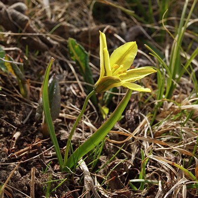 BUITEN BEELD Foto: 66766