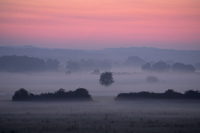 BUITEN BEELD Foto: 66815