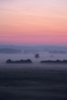 BUITEN BEELD Foto: 66816