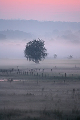 BUITEN BEELD Foto: 66818