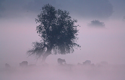 BUITEN BEELD Foto: 66820