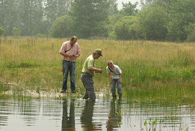 BUITEN BEELD Foto: 66848