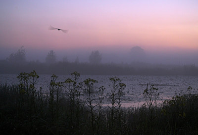 BUITEN BEELD Foto: 66857