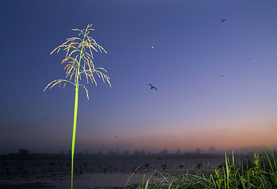 BUITEN BEELD Foto: 66858
