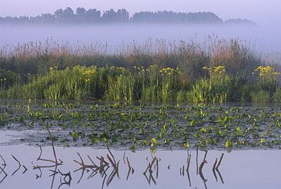 BUITEN BEELD Foto: 66869