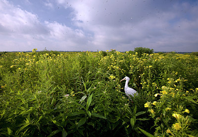 BUITEN BEELD Foto: 66870