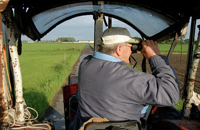 BUITEN BEELD Foto: 66930