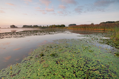 BUITEN BEELD Foto: 66972