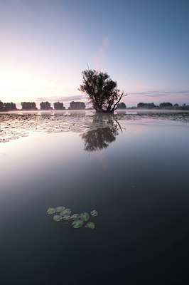 BUITEN BEELD Foto: 66974