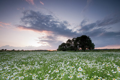 BUITEN BEELD Foto: 66978
