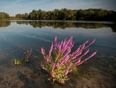 BUITEN BEELD Foto: 66986
