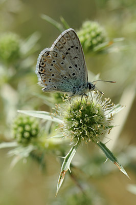 BUITEN BEELD Foto: 66988
