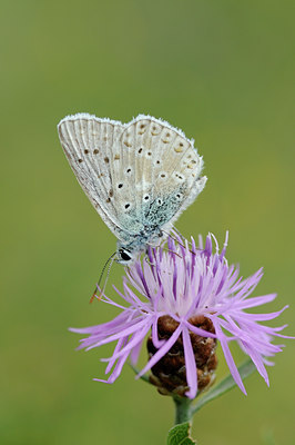 BUITEN BEELD Foto: 67000