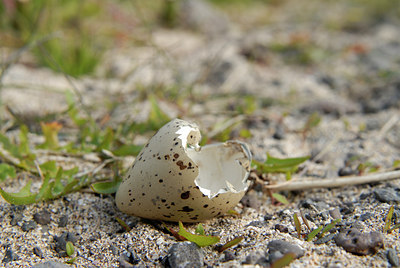 BUITEN BEELD Foto: 67027