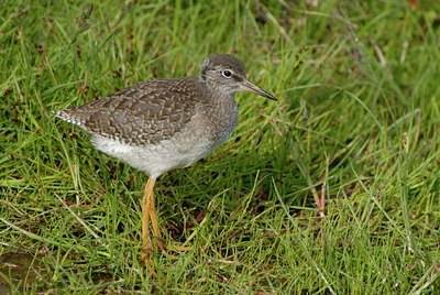 BUITEN BEELD Foto: 67029
