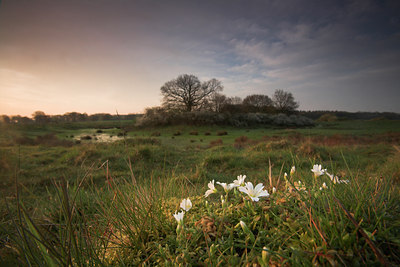BUITEN BEELD Foto: 67040