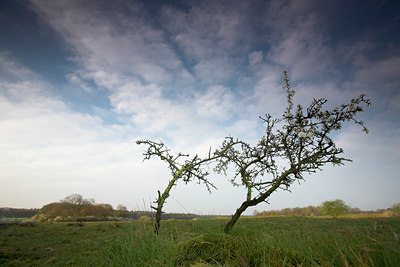 BUITEN BEELD Foto: 67041