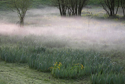 BUITEN BEELD Foto: 67043