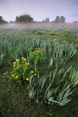 BUITEN BEELD Foto: 67044