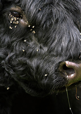 BUITEN BEELD Foto: 67049