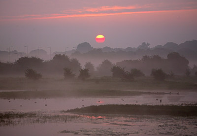 BUITEN BEELD Foto: 67062