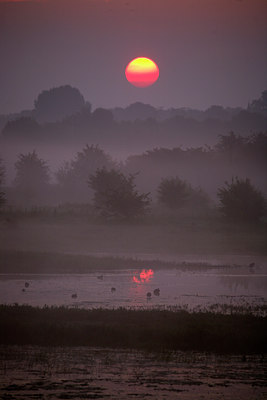 BUITEN BEELD Foto: 67063