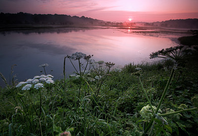 BUITEN BEELD Foto: 67066