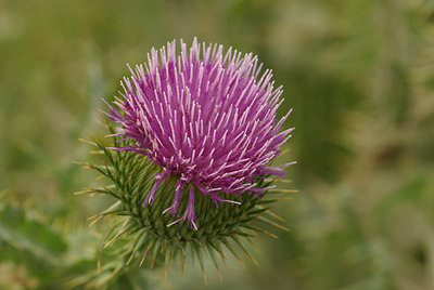 BUITEN BEELD Foto: 67077