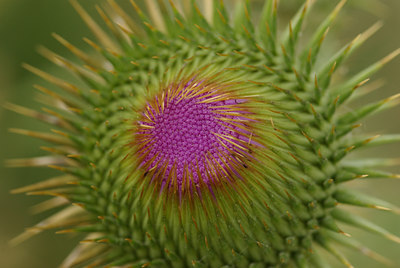 BUITEN BEELD Foto: 67078