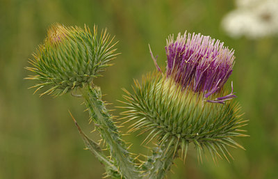 BUITEN BEELD Foto: 67079