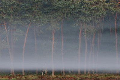 BUITEN BEELD Foto: 67092