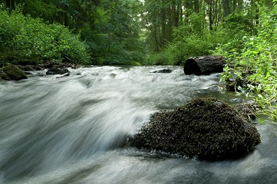 BUITEN BEELD Foto: 67214