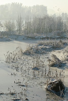 BUITEN BEELD Foto: 67242